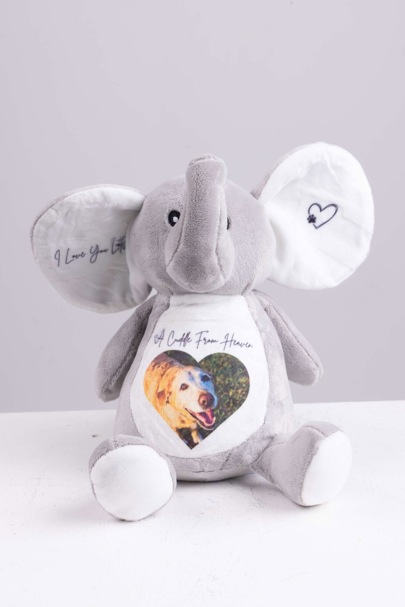 Personalised A Cuddle From Heaven Photo memorial Teddy Bear