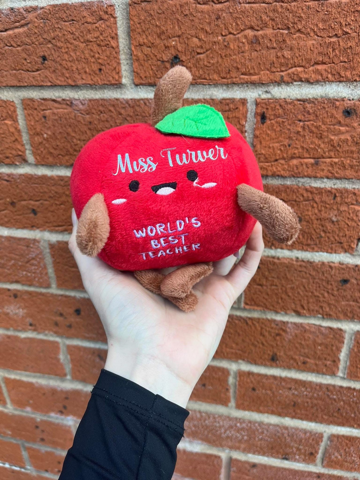 Personalised World Best Teacher Plushie Teddy