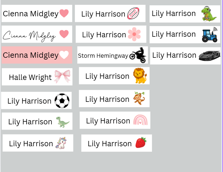 A grid of personalized name stickers or decals on a light gray background, featuring names like Cienna Midgley and Lily Harrison with various small colorful animal and sport icons.