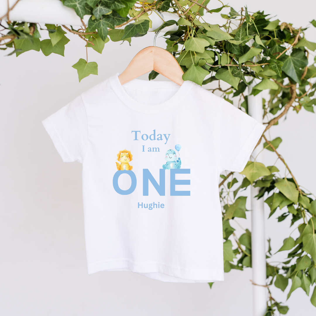 White t-shirt with kids dinosaurs birthday design and personalised text.