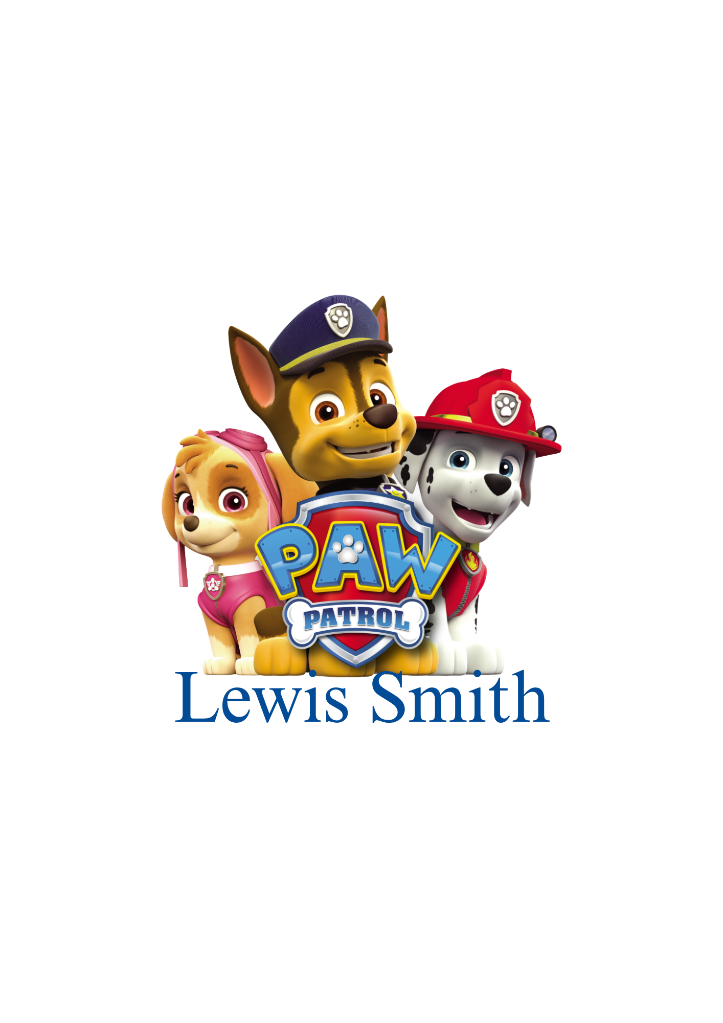 Paw Patrol Skye Water Bottle