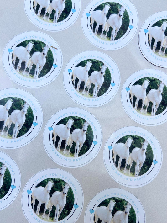 Horse Themed Birthday Party Stickers