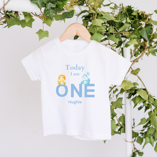 White t-shirt with kids dinosaurs birthday design and personalised text.