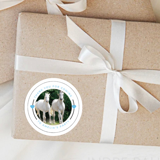 Personalised Horse Themed Birthday Party Stickers