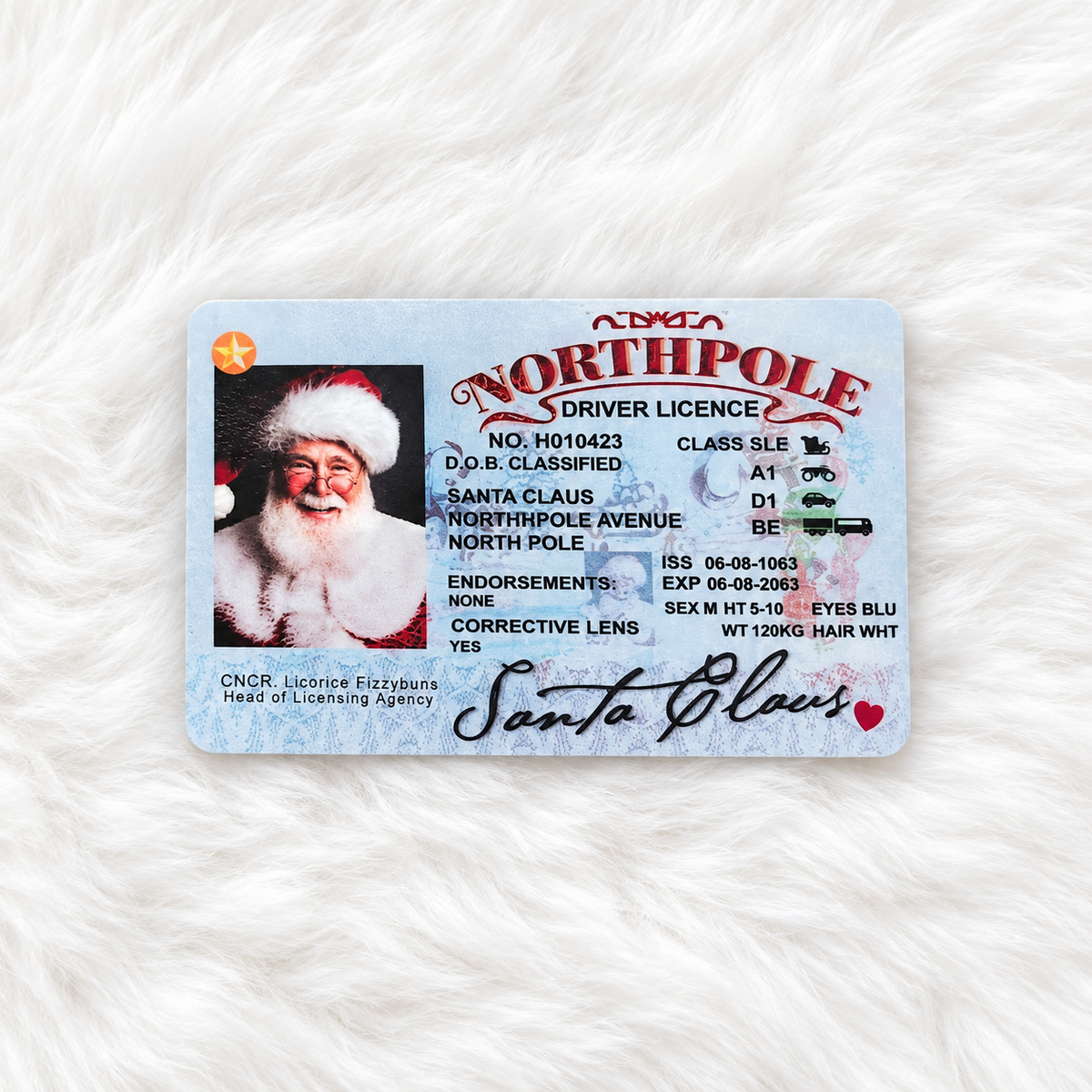 Santa Driving Licence | Christmas Eve Box Filler